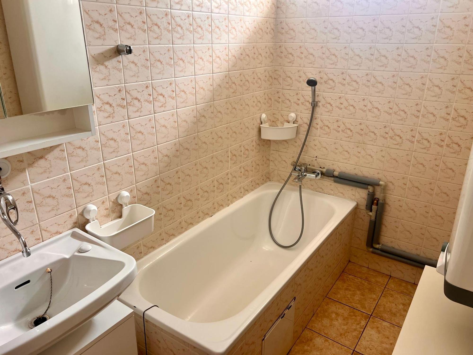 Roubenka Jeseniky Holiday home Bridlicna